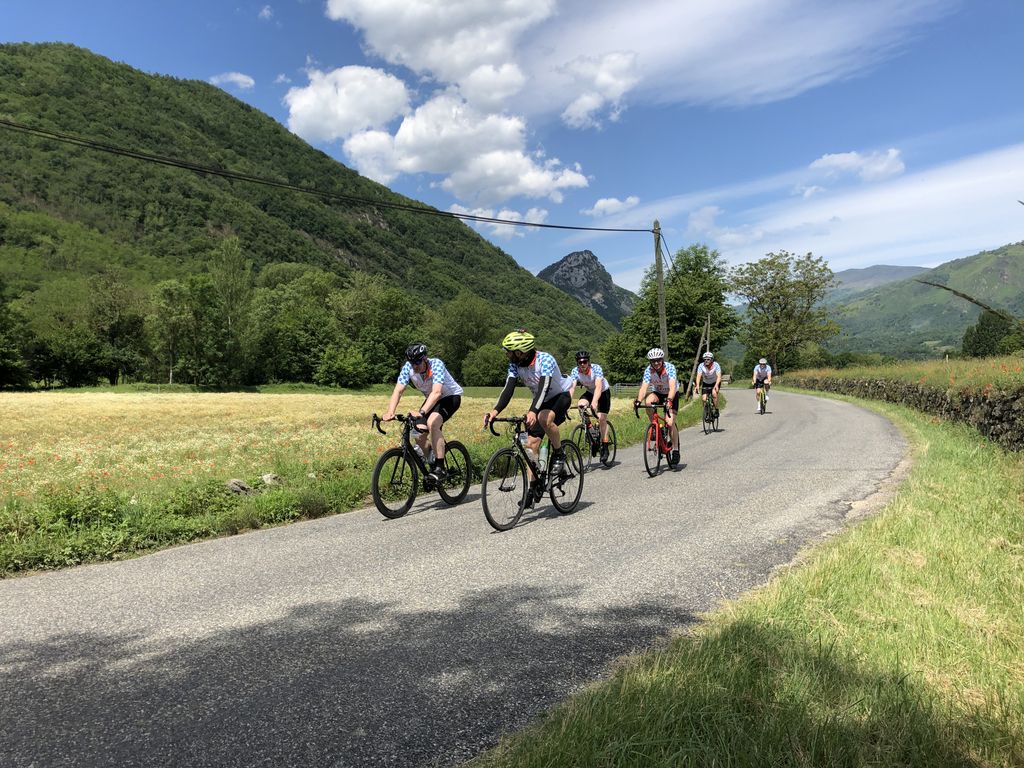 The Cure Parkinson’s Trust